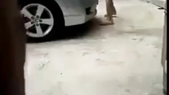 Seorang bimbo panas memijat janda bokep xnxx ayam dengan bibirnya dan dia melakukan bola